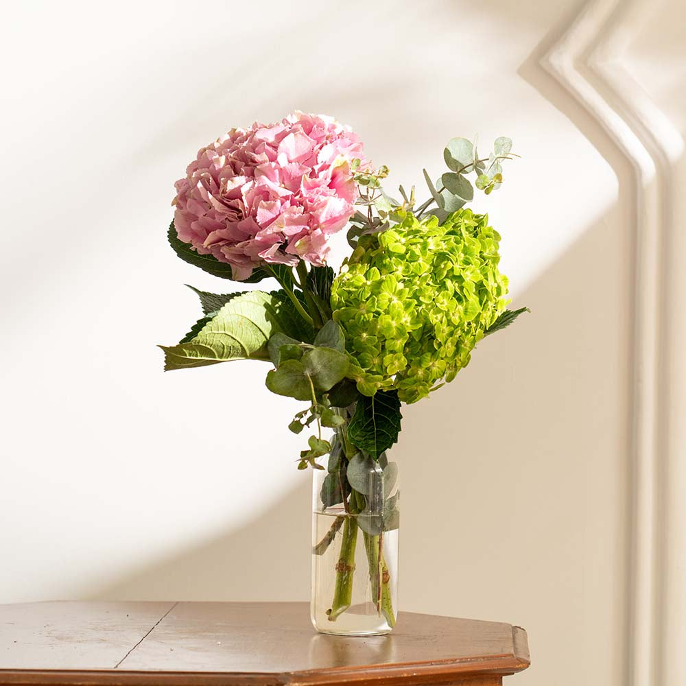 Pink / Green Hydrangeas