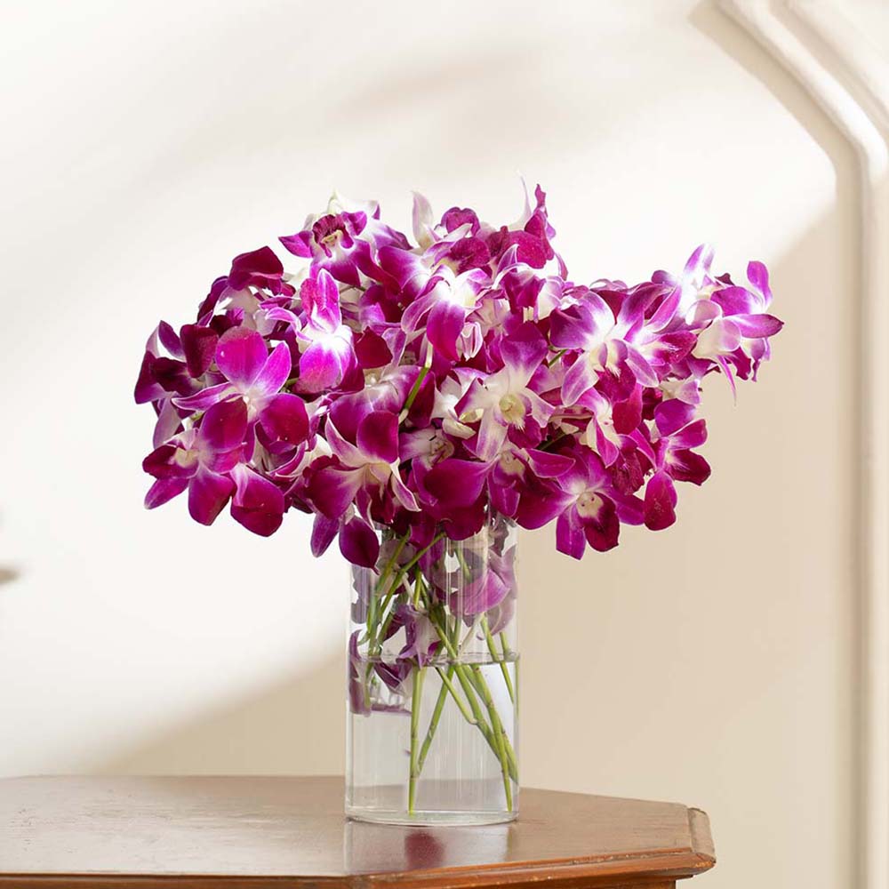 Purple Orchids