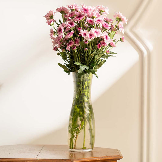 Chrysanthemums