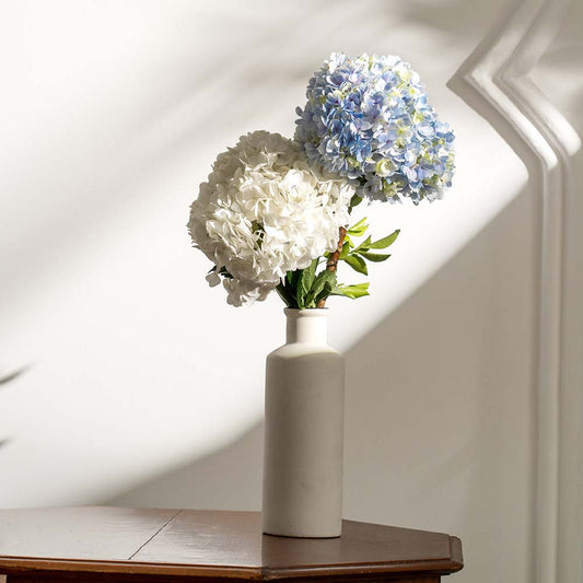 White / Blue Hydrangeas