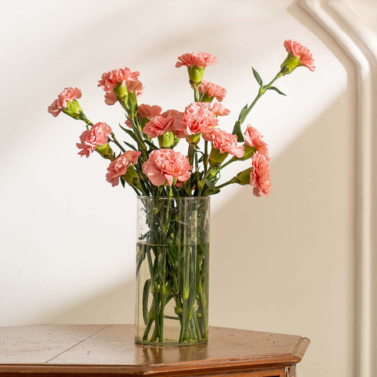 Carnations