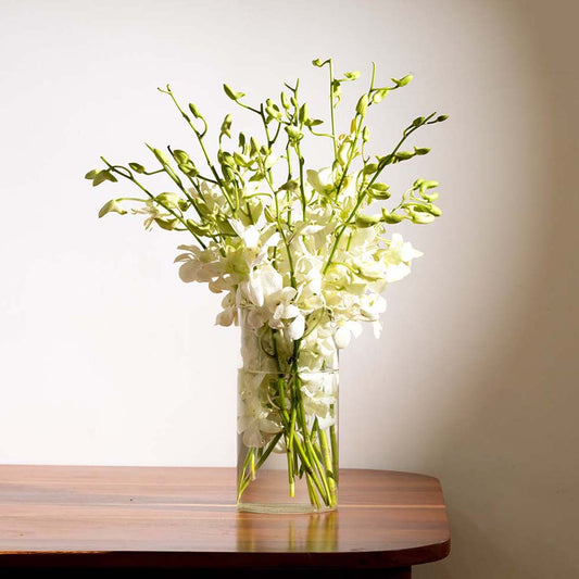 White Orchids