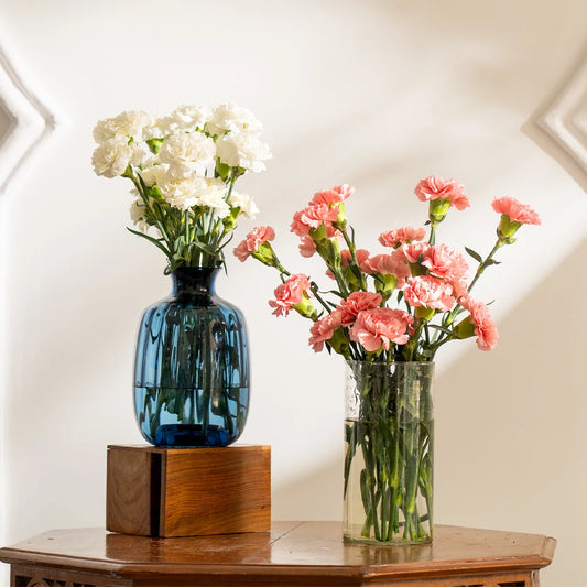 Carnations